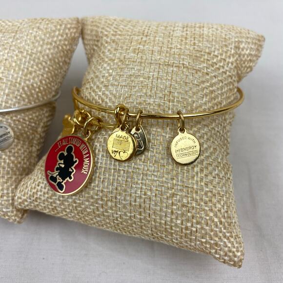 Alex and Ani Disney Parks Mickey Mouse Silver and Gold Toned Bracelet Lot - Picture 8 of 8